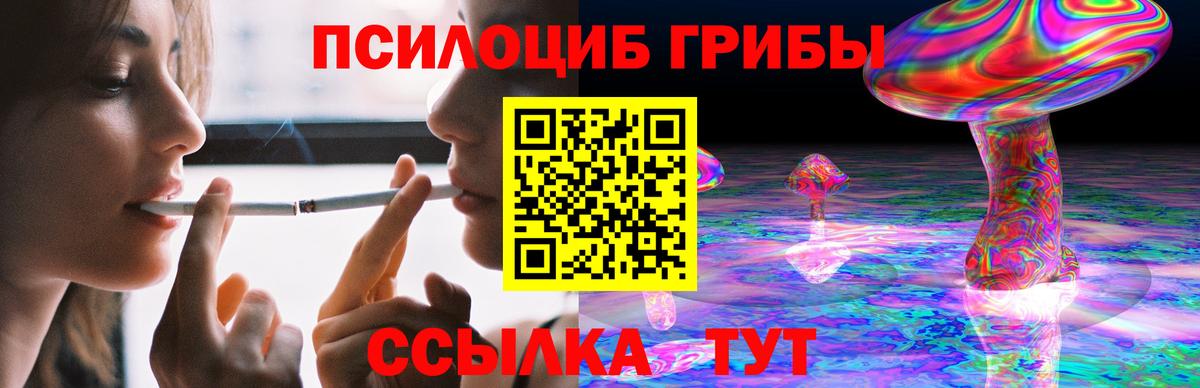 Кубинка  где купить наркоту  Вход с VPN  Галлюциногенные грибы Psilocybe  Псилоцибиновые грибы Magic Shrooms 