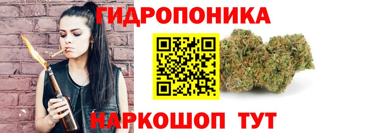 Канабис конопля Кубинка